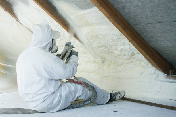 Best Attic Insulation Installation  in Lufkin, TX